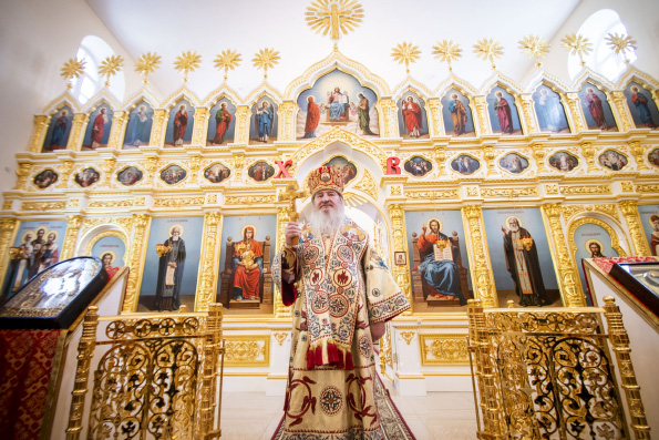 Предстоятель Украинской Православной Церкви поздравил митрополита Феофана с годовщиной архиерейской хиротонии