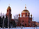 Экспозиция «Безмолвный крик» в Нижнекамске (фото).