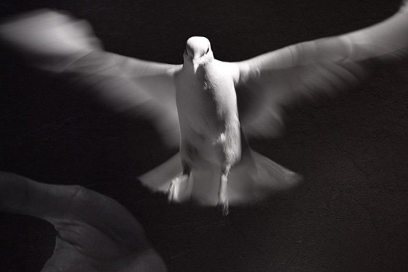 Осторожно: дух лукавый