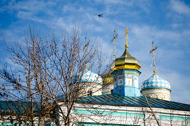 Глава митрополии совершил Божественную Литургию в Никольском кафедральном соборе
