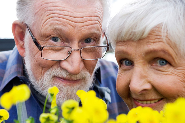 Доброе свидетельство