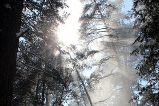 «Элегия» Массне