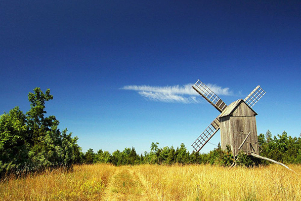 Сигнальная система души