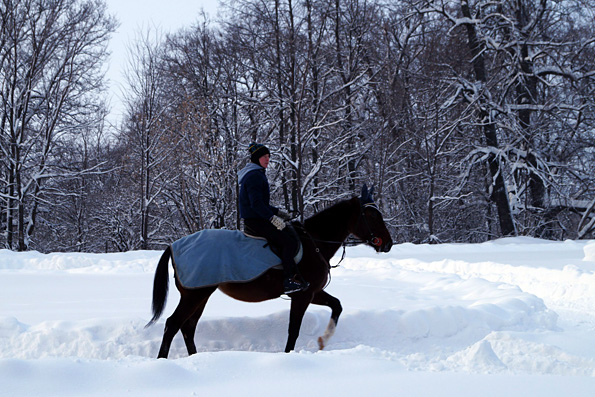 Катание на лошадях