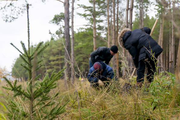 Православная молодежь Елабуги высадила саженцы и провела уборку в Георгиевском парке