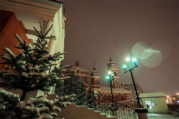 В казанском храме проходит благотворительная фотовыставка «Мы в ответе за тех, кого приручили»