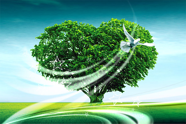 Молодежный экологический проект «БумДом» выиграл грантовый конкурс Кабинета Министров РТ