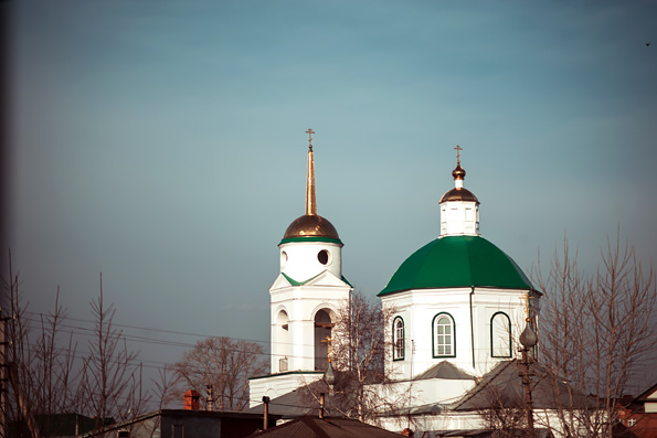 В Неделю преподобного Иоанна Лествичника митрополит Феофан совершил Литургию в Троицком храме Буинска