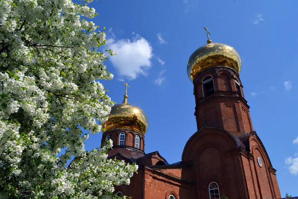 Шершни и немного молитвы