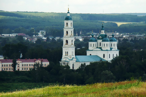 Спасский собор Елабуги отметил престольный праздник