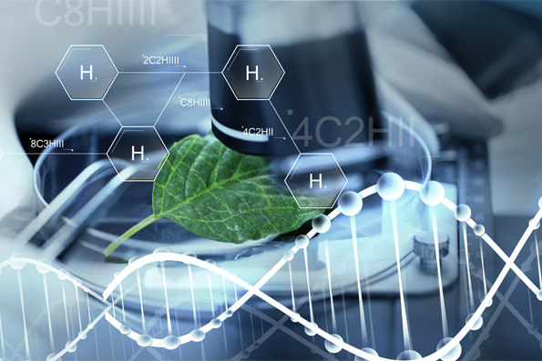 В православном молодежном клубе «Азбука» обсудили вопросы биоэтики