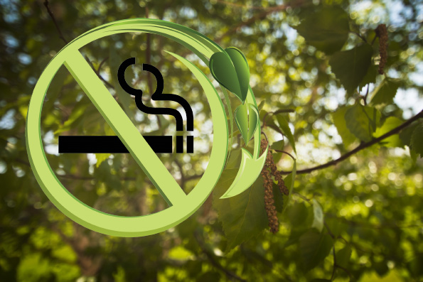 В Татарстане прошли антитабачные мероприятия