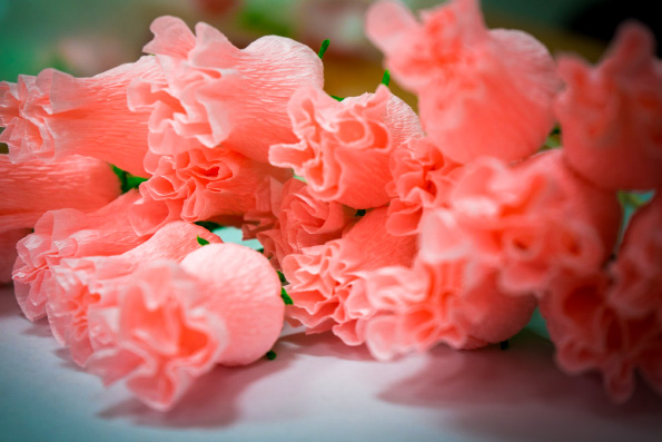 В Казанской духовной семинарии прошел первый этап ежегодной благотворительной акции «Белый цветок»