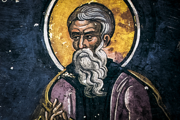 5 мая. Память преподобного Феодора Сикеота, епископа Анастасиупольского